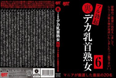 一瞬で虜になる映像！裏フル勃起デカ乳首熟女6 マニアが厳選した垂涎の20名