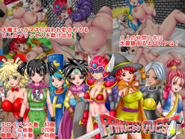 あなたを魅了するドラマチックな結末！PRINCESS QUEST Ver1.00