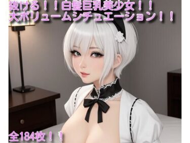 驚きのラストが待っている！【超美麗高画質】白髪巨乳美少女のエロ画像集