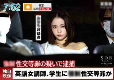 心が動く美のインスピレーション！検証。生徒を襲った女講師に接触！3年もの禁欲をした女性の性欲はどうなるのだろうか MINAMO