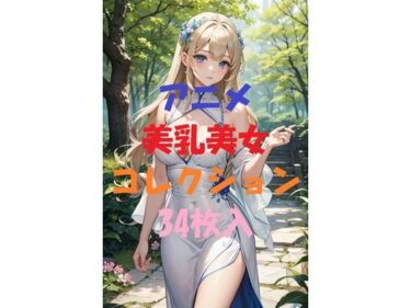 美しさが描く未知の道！アニメ美乳美女コレクションVol2