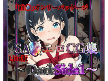 心を動かすセリフが響く！【Lite版】SA◯エロCG集〜DarkSide1〜【直◯のみ・100枚】