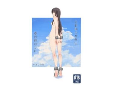 魅力的なキャラクターが引き込む物語！公有物少女外伝 夏の終わりに