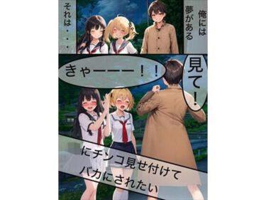 驚きの結末があなたの感情を揺さぶる！JKにチンコ見せ付けてバカにされたい