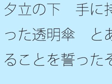 驚愕の瞬間が待っている！【無料】夕立の下  手に持った透明傘  とあることを誓ったその10メートル後に・・・・