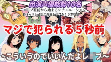 目を見張る美しい物語が展開する！（出演声優10名収録時間1時間）マジで犯られる5秒前〜こういうのでいいんだよレ●プ〜