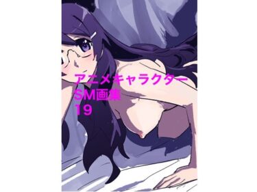 圧巻の美が生み出す深い感動！アニメキャラクターSM画集19