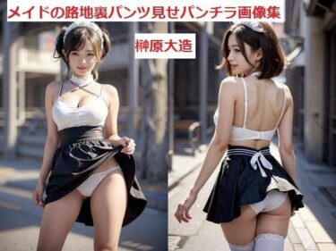 あなたの内面に触れる美しさ！メイドの路地裏パンツ見せパンチラ画像集