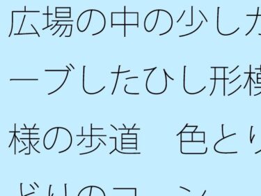 あなたの心に宿る美の軌跡！広場の中の少しカーブしたひし形模様の歩道  色とりどりのコーン