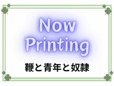 あなたの感覚を揺さぶる美しい調和！鞭と青年と奴●