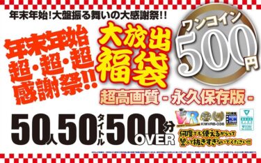 美しさが極まる感動体験！【VR】【500円ワンコイン】年末年始超・超・超・感謝祭！！大放出 福袋 50人50タイトル500分OVER-超高画質 永久保存版-