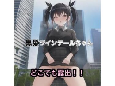 目と心が奪われる美の奇跡！黒髪ツインテールちゃんのどこでも露出！！