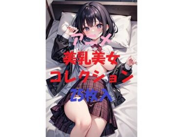 美の衝撃があなたを包む！アニメ美乳美女コレクション＃17