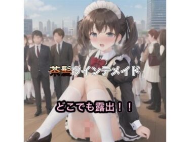 時間を超えた美しい調和の響き！茶髪ツインテメイドのどこでも露出！！