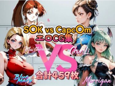 心を整える美しさの力！S〇K vs Capc〇m 美女エロCG集