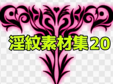 あなたの心を揺さぶる美しさの風！淫紋素材集20