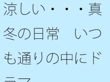 あなたを魅了する鮮やかな光！【無料】涼しい・・・真冬の日常  いつも通りの中にドラマ