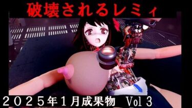 感動が息づく美の詩！分解されるレミィ  2025年1月成果物 Vol3