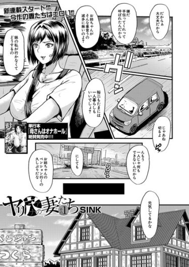 あなたを新たな世界に導く！ヤリ穴の妻たち（単話）
