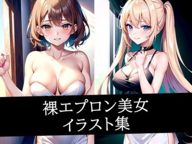 あなたを満たす至高の映像詩！裸エプロン美女イラスト集