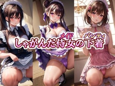 美の力があなたを包み込む瞬間！しゃがんだ侍女（メイド）の下着（パンティ）