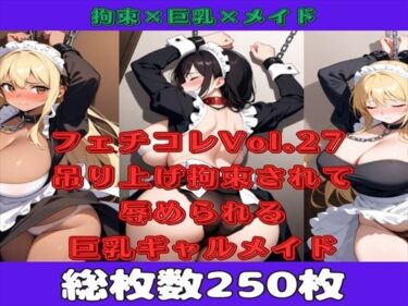 感情を動かす極上の美体験！【微エロ】フェチコレVol.27 吊り上げ拘束されて辱められるメイド（黒髪＆ギャル）【総枚数250枚】