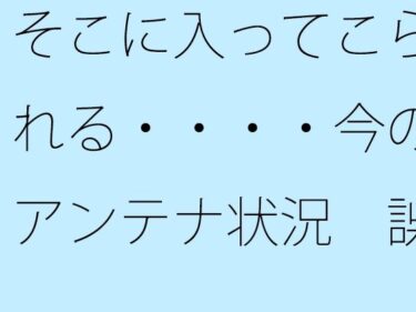 美の核心に触れる映像作品！【無料】そこに入ってこられる・・・・今のアンテナ状況 誤解だが細部の話