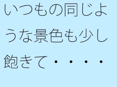 あなたの心に触れる美の力！いつもの同じような景色も少し飽きて・・・・・