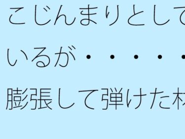 感動をすべて込めた一瞬！【無料】こじんまりとしているが・・・・・膨張して弾けた材料