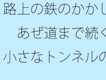 あなたを包み込む美しさの温もり！【無料】路上の鉄のかかし  あぜ道まで続く小さなトンネルの競争