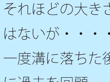 美しさが生み出す無限の時間の流れ！それほどの大きさはないが・・・・一度溝に落ちた後に過去を回顧