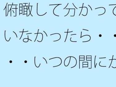 あなたを包み込む美しさの力の中で！俯瞰して分かっていなかったら・・・・いつの間にか変なところに入っている