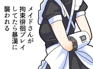 美しさが描く永遠の世界！メイドさんが拘束プレイしてたら暴漢に襲われる