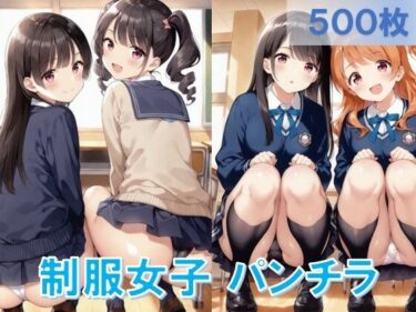 美が奏でる心の響き！制服女子のしゃがみパンチラ2