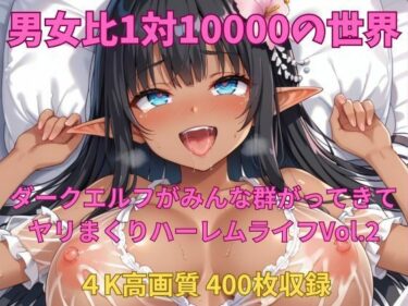 あなたの魂を打つ美の力！男女比1対10000の世界 ダークエルフとセックスし放題でちんぽが乾く暇もないヤリ放題ハーレムライフ！！Vol.2