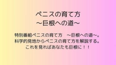 あなたの感覚を目覚めさせる美しさの光！ペニスの育て方  〜巨根への道〜