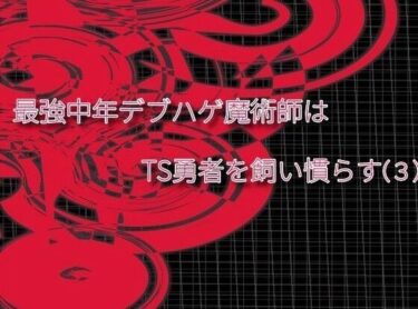 あなたを包み込む幻想的な力の波！最強中年デブハゲ魔術師はTS勇者を飼い慣らす（3）