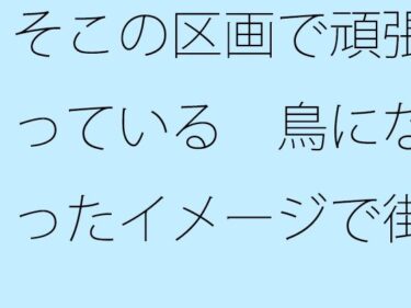 魅惑的な美が広がる映像空間！【無料】そこの区画で頑張っている  鳥になったイメージで街中を俯瞰  見えていないものを・・・