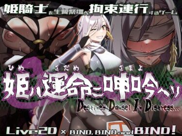 美しい光が語る無言の物語！姫ハ運命ニ呻吟ヘリ Destined Damsel In Distress