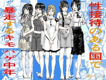 美しさが生み出す静かな感動！性接待のある国で暴走するキモはげ中年