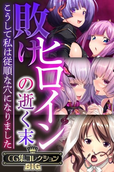 あなたの魂を揺さぶるエンタメ！敗けヒロインの逝く末 〜こうして私は従順な穴になりました〜【CG集コレクションBIG】