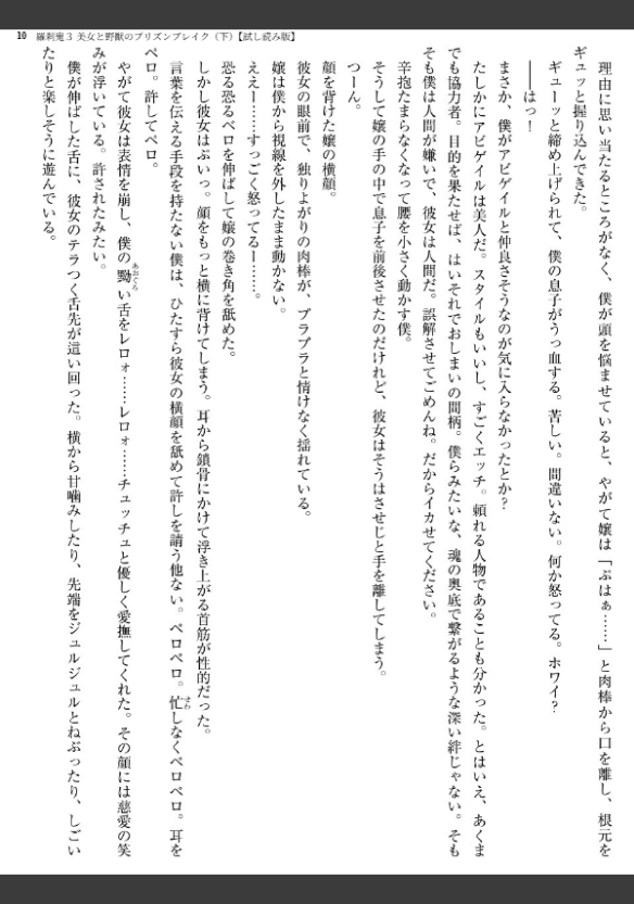 Image 10
