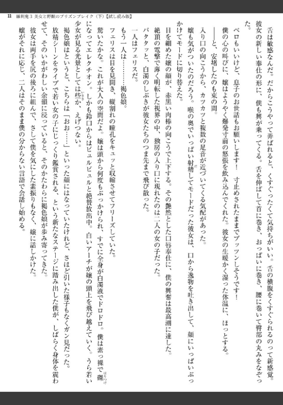 Image 11
