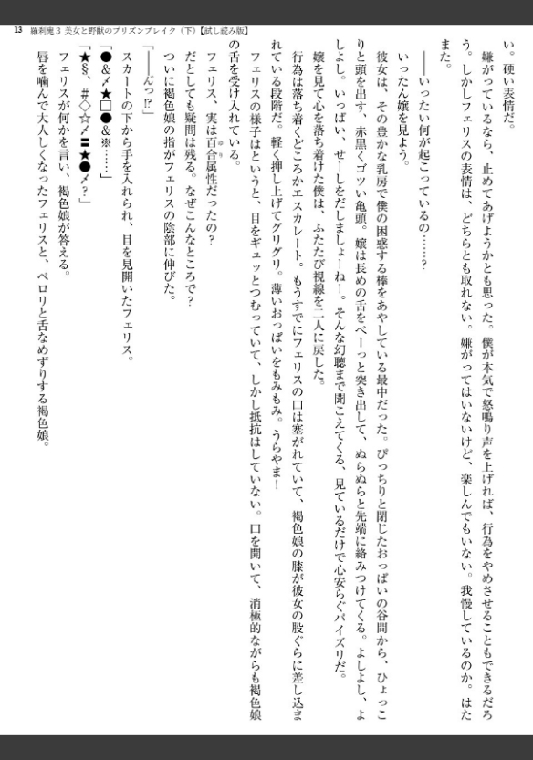 Image 13