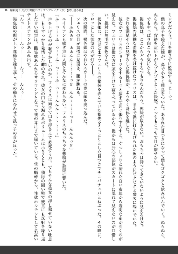 Image 15