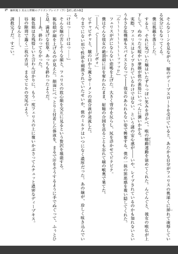 Image 17