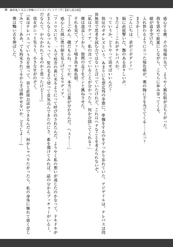 Image 18