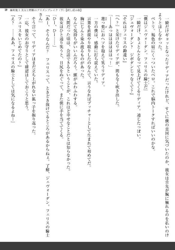 Image 19