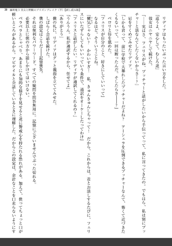Image 20