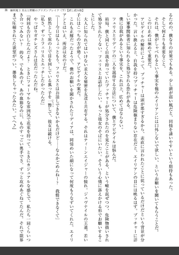 Image 21